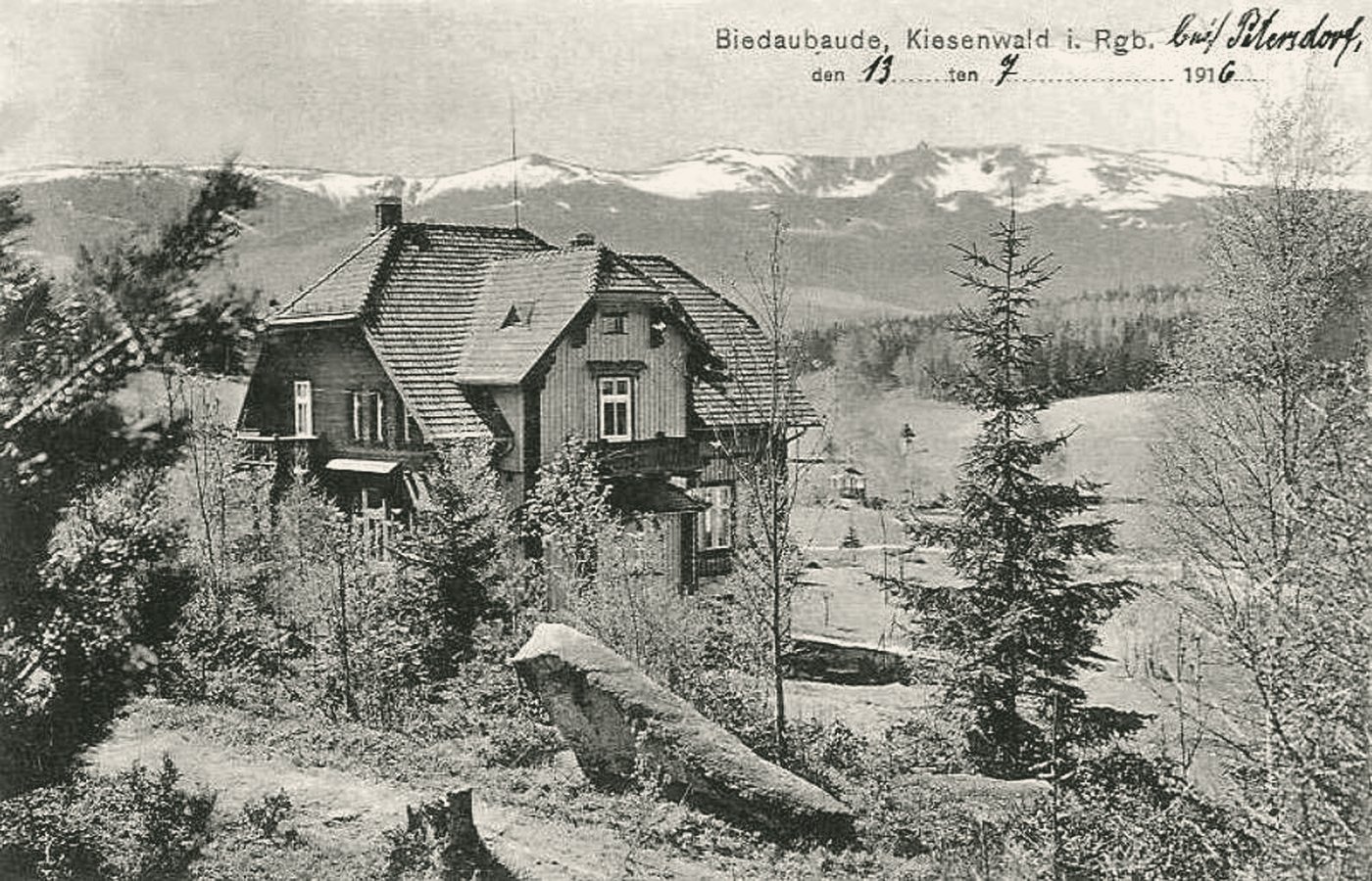 Pocztówka - 1913